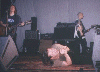 cult 6