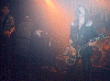 Wildhearts