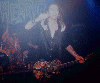 Wildhearts