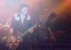 Wildhearts