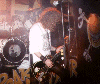 Wildhearts pic10