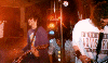 Wildhearts pic8