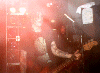 Wildhearts pic9